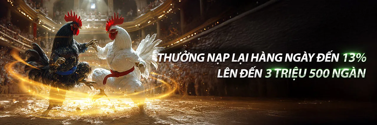 Đá Gà Thomo Trực Tiếp Hôm Nay - Sân Đấu Kịch Tính